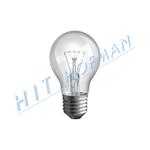 Photo: Bulb SIG 230V/100W E27